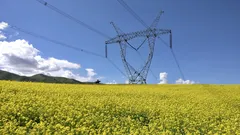 Snížení ceny o 20 % v Praze: teď je čas porovnat svůj tarif a sepsat novou smlouvu
